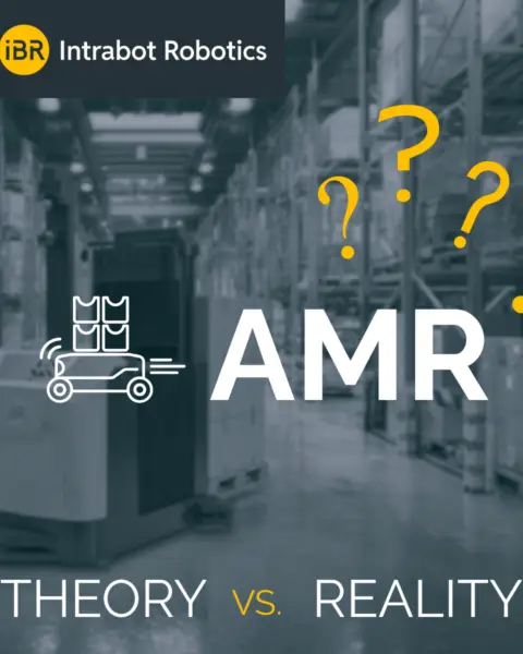 AMR reality_LN